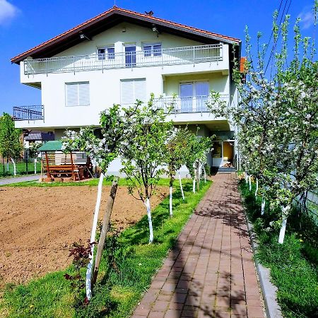 Apartman Peace Apartament Sarajewo Zewnętrze zdjęcie
